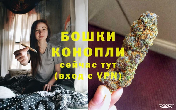 гашик Костерёво