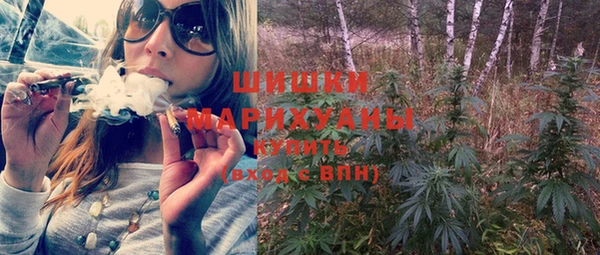 скорость Болотное