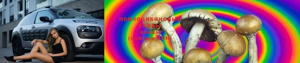 гашик Костерёво