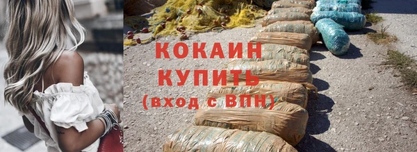 гашик Костерёво