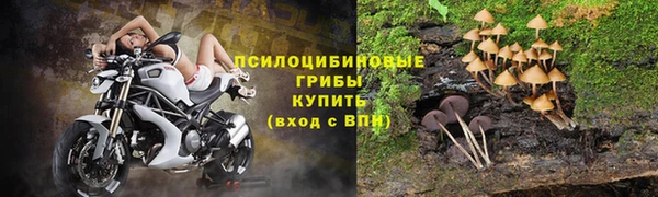 гашик Костерёво