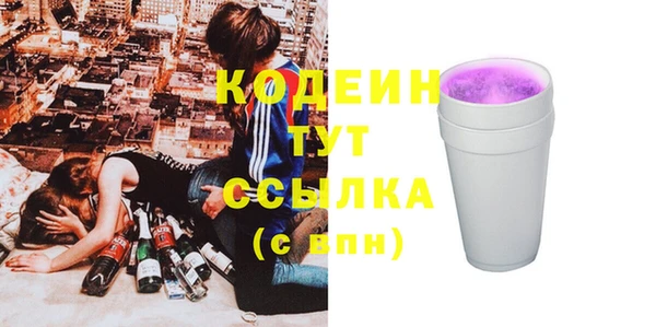 гашик Костерёво
