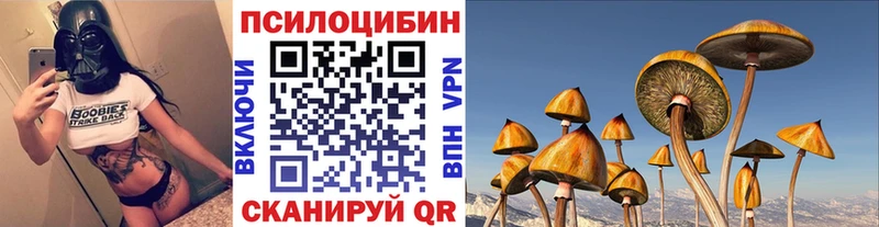 Купить где Обь Галлюциногенные грибы ЛСД